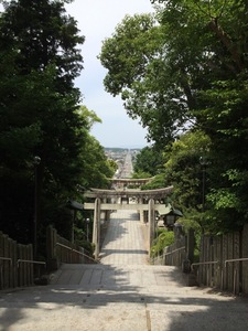 ウオーキング5.jpg