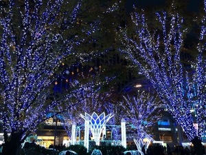 写真 2015-12-12 19 39 12.jpg