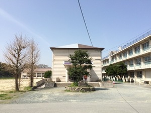 桜2.jpg