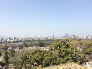 桜4.jpg